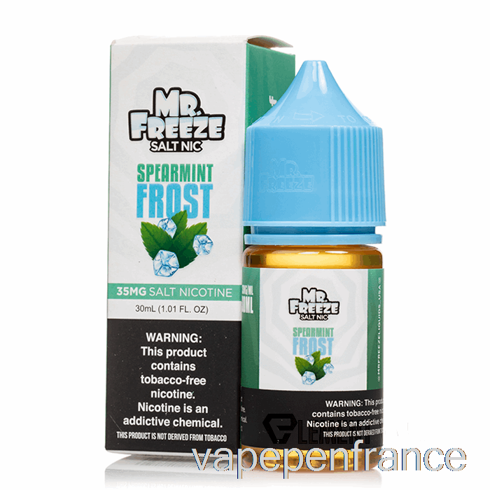 Givre De Menthe Verte - Mr Sels De Congélation - Stylo Vape 30 Ml 35 Mg